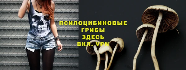 прущий лед Володарск