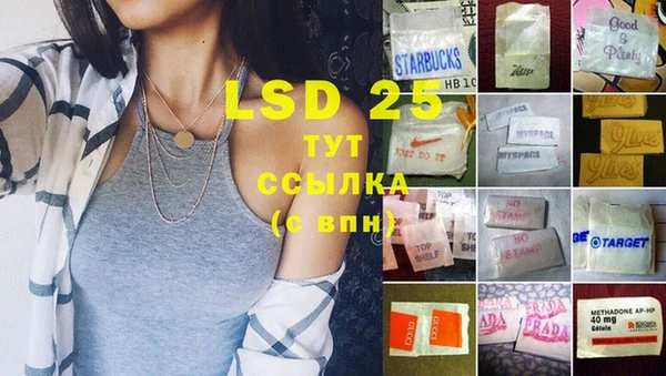 apvp Вяземский