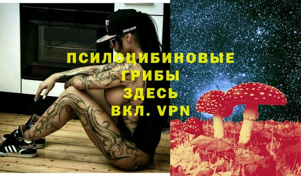 apvp Вяземский