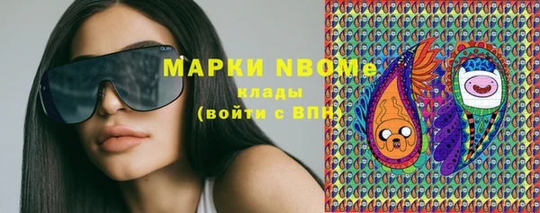 apvp Вяземский