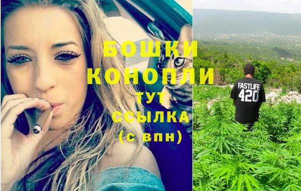 apvp Вяземский