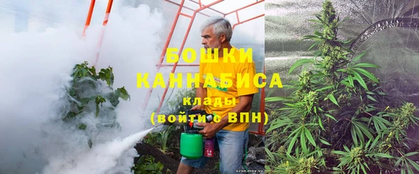 apvp Вяземский