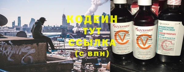 apvp Вяземский