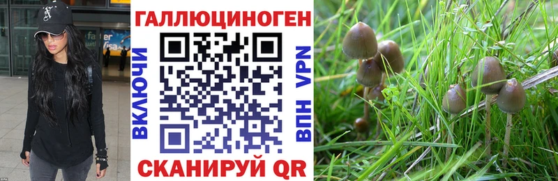 Галлюциногенные грибы GOLDEN TEACHER  Дальнереченск 